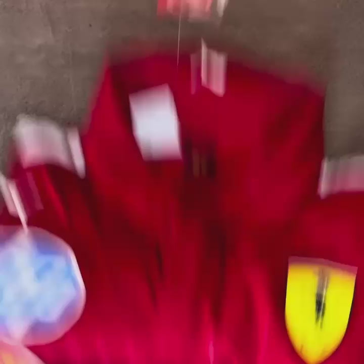 FERRARI F1 POLO